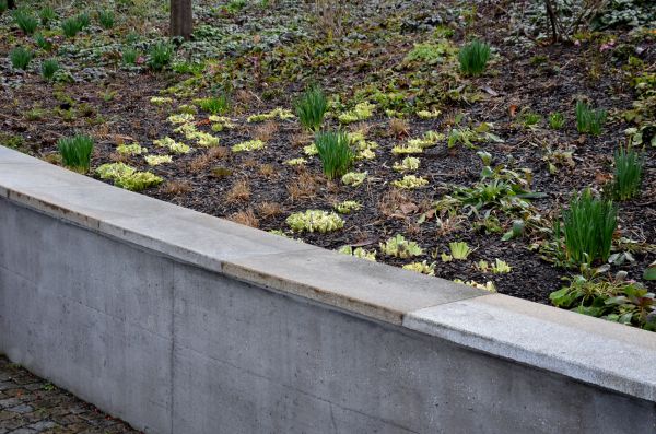Concrete Wall Construction in Cabot
