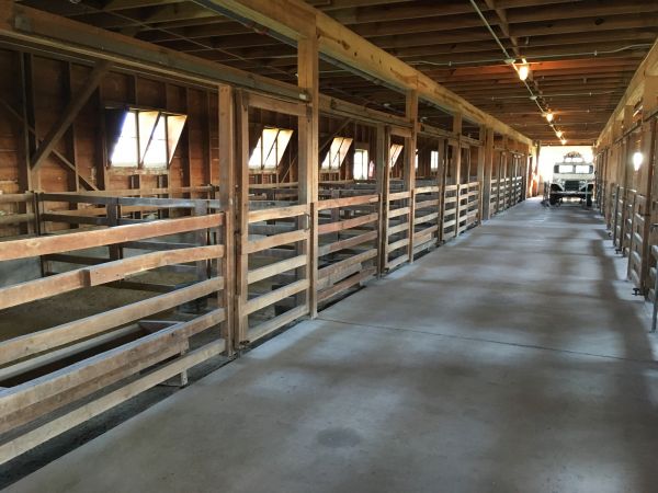 Barn Slab Construction in Cabot